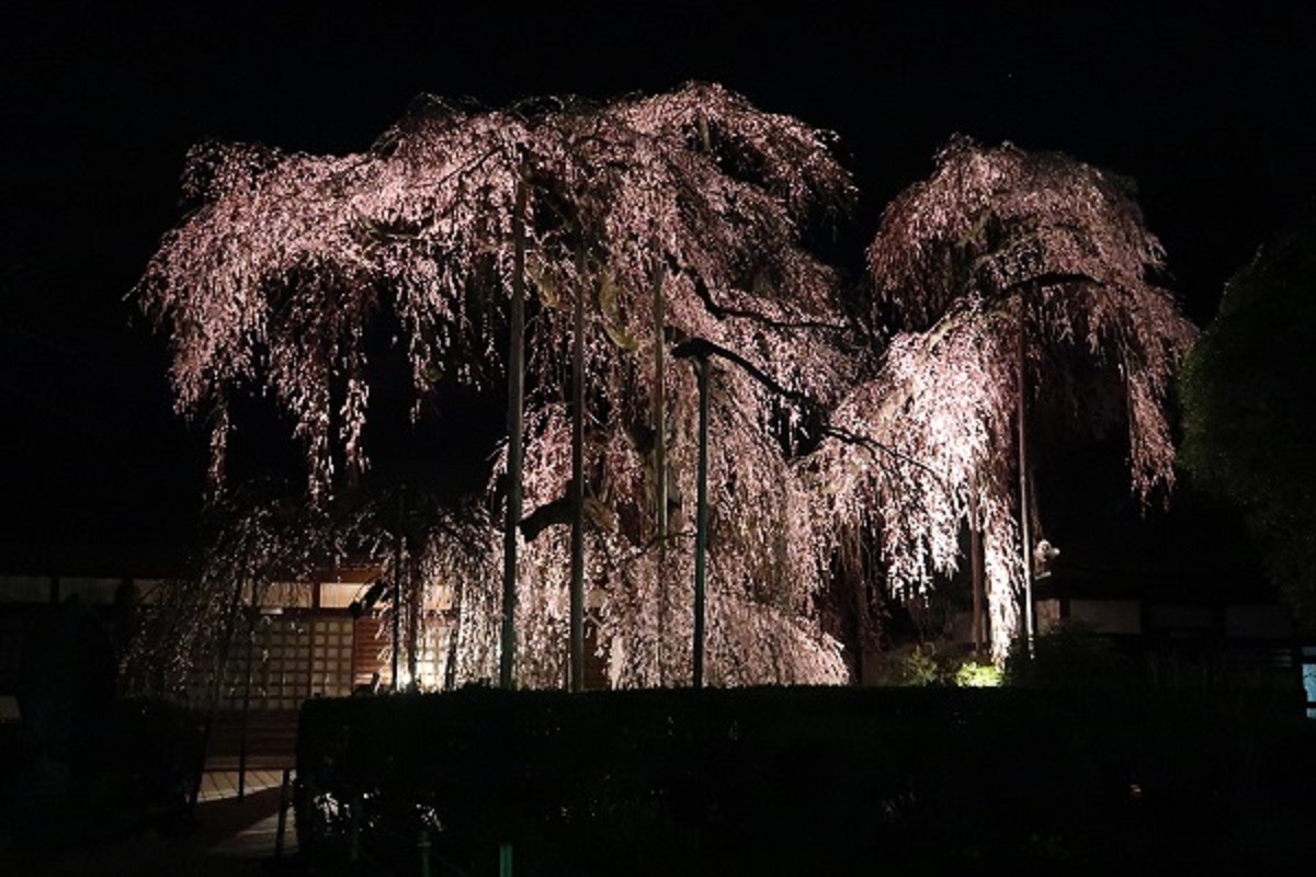 慈雲寺